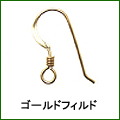 ゴールドフィルド1